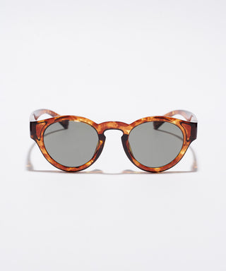 HARBOR CLEAR tortoise brown 太陽眼鏡/墨鏡(抗藍光/阻擋紫外線) - jugaad14 Taiwan